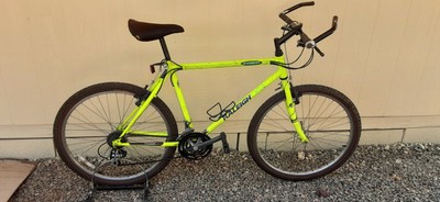 2002 raleigh m80